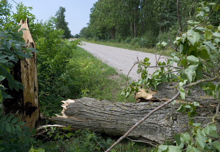 Mesures de prévention et bons gestes à adopter en cas de catastrophe naturelle